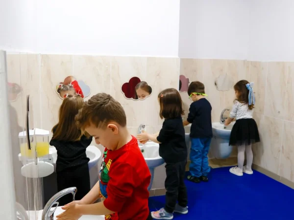 IMG_1848 IMG_1848